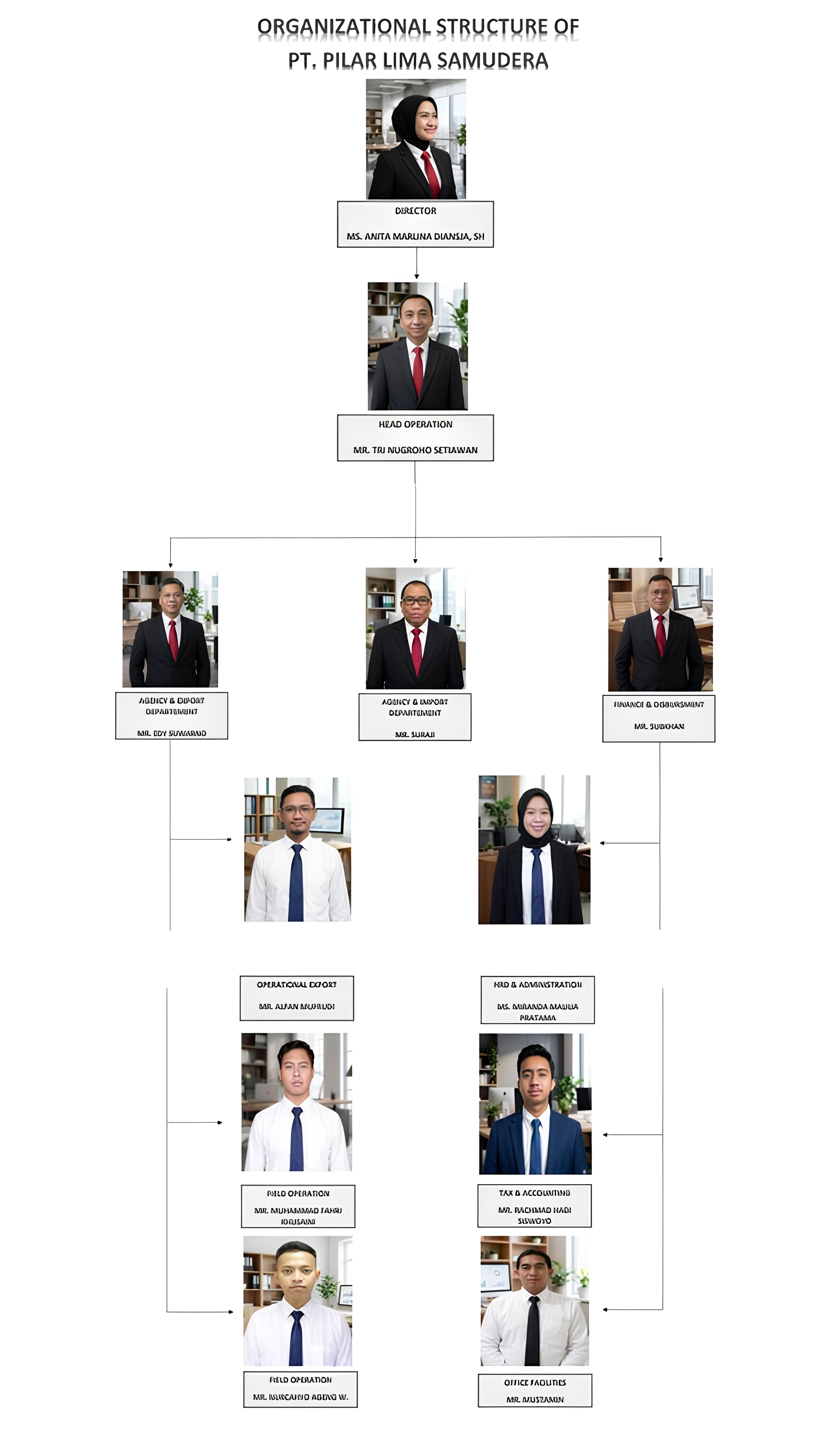 COMPANY STRUCTURE 